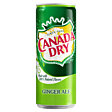 Canada Dry Ginger Ale Napój gazowany o smaku imbirowym 330 ml