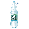 Rodowita z Roztocza Naturalna woda mineralna niegazowana 1,5 l