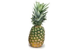 Ananas