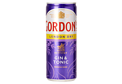 Gordon's London Dry Gin & Tonic Napój alkoholowy 250 ml