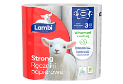 Lambi Strong Ręczniki papierowe 2 rolki