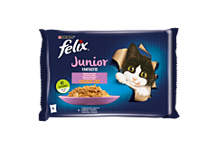 Felix Fantastic Junior Karma dla kociąt wybór smaków w galaretce 340 g (4 x 85 g)