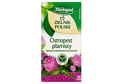 Herbapol Zielnik Polski Ostropest plamisty Herbatka ziołowa 40 g (20 x 2 g)