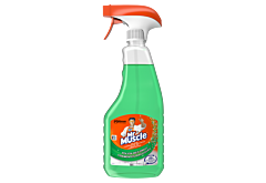 Mr Muscle Płyn do czyszczenia szyb i powierzchni szklanych 500 ml 