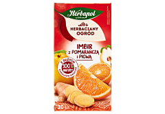 Herbapol Herbaciany Ogród Herbatka owocowo-ziołowa imbir z pomarańczą i pigwą 50 g (20 x 2,5 g)