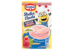 Dr. Oetker Słodka Chwila Kaszka smak malina 47 g