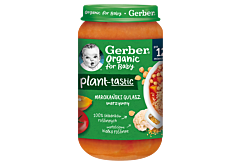 Gerber Organic Plant-tastic Marokański gulasz warzywny dla dzieci po 12. miesiącu 250 g