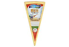 Brie Ser pleśniowy