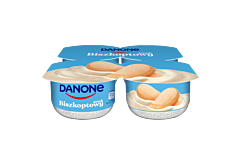 Danone Jogurt kremowy smak biszkoptowy 480 g (4 x 120 g)